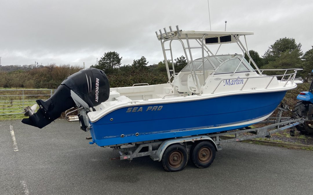 2006 Sea Pro 220 WA