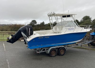 2006 Sea Pro 220 WA